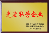 先進(jìn)私營企業(yè)